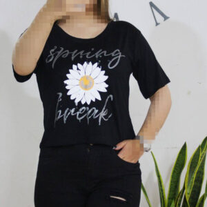 کراپ آفتابگردان