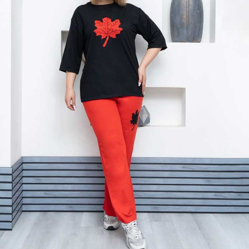 تیشرت شلوار بگ برگ (پک 6 عددی)