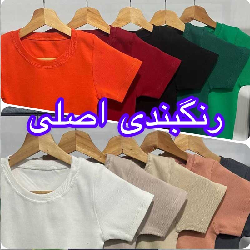 تیشرت آستین کوتاه (پک 5 عددی)